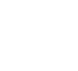 Seeds